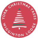 york christmas trees ltd