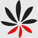 perceptive media ltd