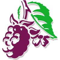 blackberry clinic limited