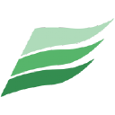 spring capital group limited