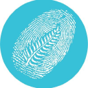 new zealand in depth limited