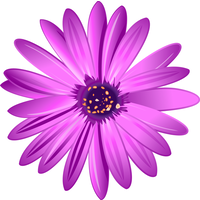 claire's school solutions limited