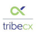 tribe cx limited