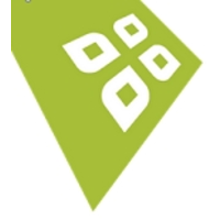 ferneries consulting limited