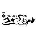 shamal desaur design consultancy ltd