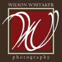 wilson whitaker limited