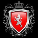 lions sports travel ltd