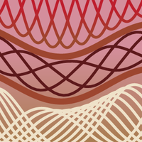 dermatology education partnership limited