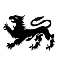 griffin street partners limited