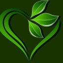 st. camillus care group ltd