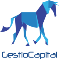 gestio capital ltd