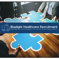 bluelight healthcare group limited