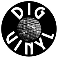 dig vinyl limited