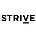 strive insight limited