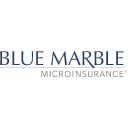 blue marble micro limited