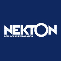 nekton foundation