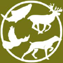 sporting scene limited