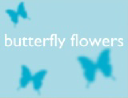 butterfly flowers limited