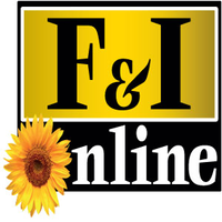 f&i online ltd