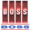 boss & co holding limited