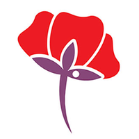 pure cremation limited