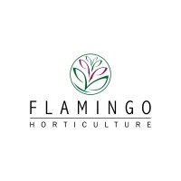 flamingo horticulture ltd