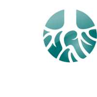 20trees consulting limited