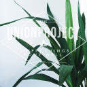 the union project limited