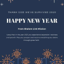 shalom link mission