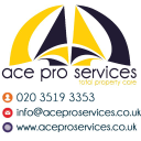 ace pro services ltd