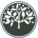 dalbergia group limited