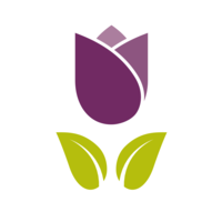 the martin fisher foundation