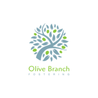 olive branch fostering ltd