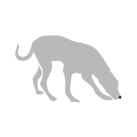 sniffers pet care limited