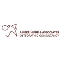 amberin fur and associates limited