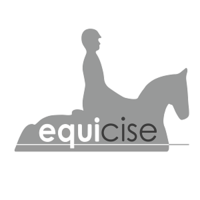 equicise ltd