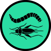 uk edible insect association cic