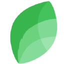 the pollen club limited