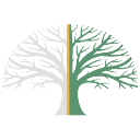 the wimbledon society