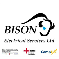 bison electrical services ltd