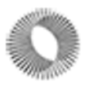 foster solutions ltd