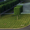 tlf services limited