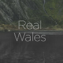 wild trails wales ltd