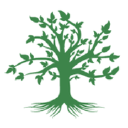 albany spc services limited