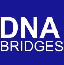 dna bridge limited