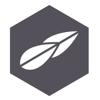 timo realisations (2024) limited