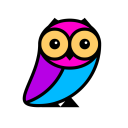 professor assessor ltd