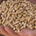 go green wood fuels limited