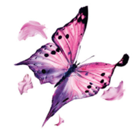 third sector support solutions ltd