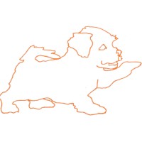 little orange puppy ltd